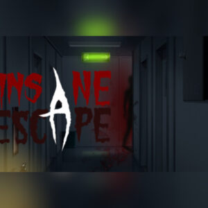 Insane Escape PC Steam CD Key