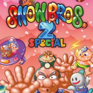 SNOW BROS. 2 SPECIAL PC Steam CD Key