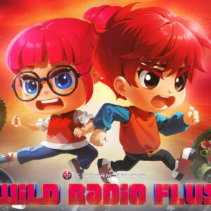 Wild Radio Flux PC Steam CD Key