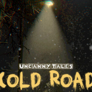 Uncanny Tales: Cold Road PC Steam CD Key