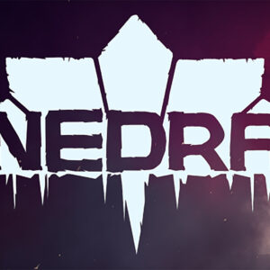 NEDRA PC Steam CD Key