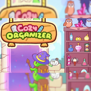 Cozy Organizer PC Steam CD Key