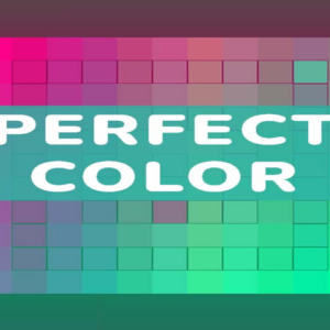 Perfect Color PC Steam CD Key