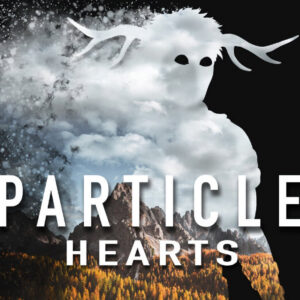 Particle Hearts PC Steam CD Key