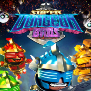 Super Dungeon Bros PC Steam CD Key