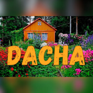 DACHA PC Steam CD Key