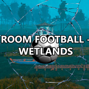 ROOM FOOTBALL: Wetlands PC Steam CD Key