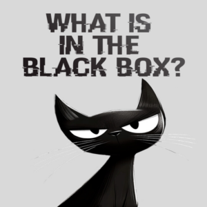 What is in the Black Box? PC Steam CD Key