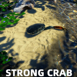 Strong Crab PC Steam CD Key