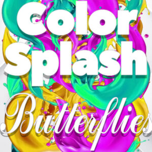 Color Splash: Butterflies PC Steam CD Key