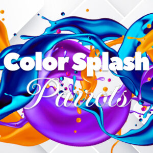 Color Splash: Parrots PC Steam CD Key
