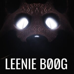 Leenie Boog PC Steam CD Key