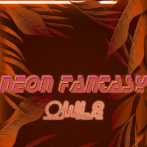 Neon Fantasy: Owls PC Steam CD Key