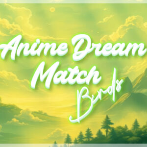 Anime Dream Match: Birds PC Steam CD Key