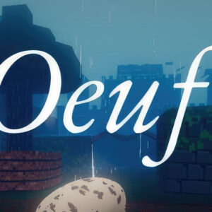 Oeuf PC Steam CD Key