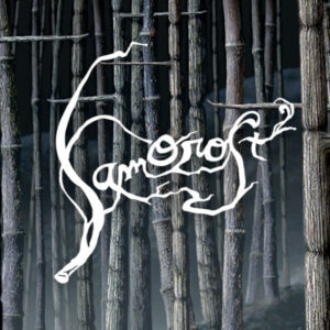 Samorost 2 PC Steam CD Key (valid until March 2027)