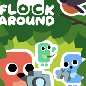 Flock Around PC Steam CD Key