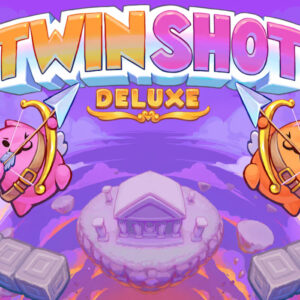 Twin Shot Deluxe PC Steam CD Key
