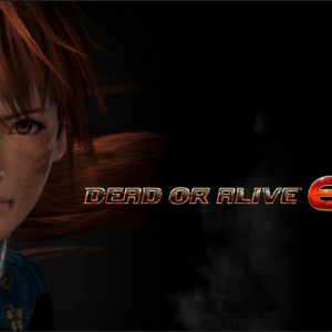 DEAD OR ALIVE 6 PC Steam CD Key
