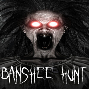 Banshee Hunt Steam CD Key