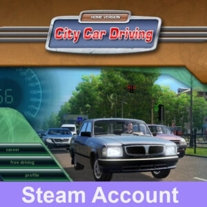 City Car Driving Steam Account