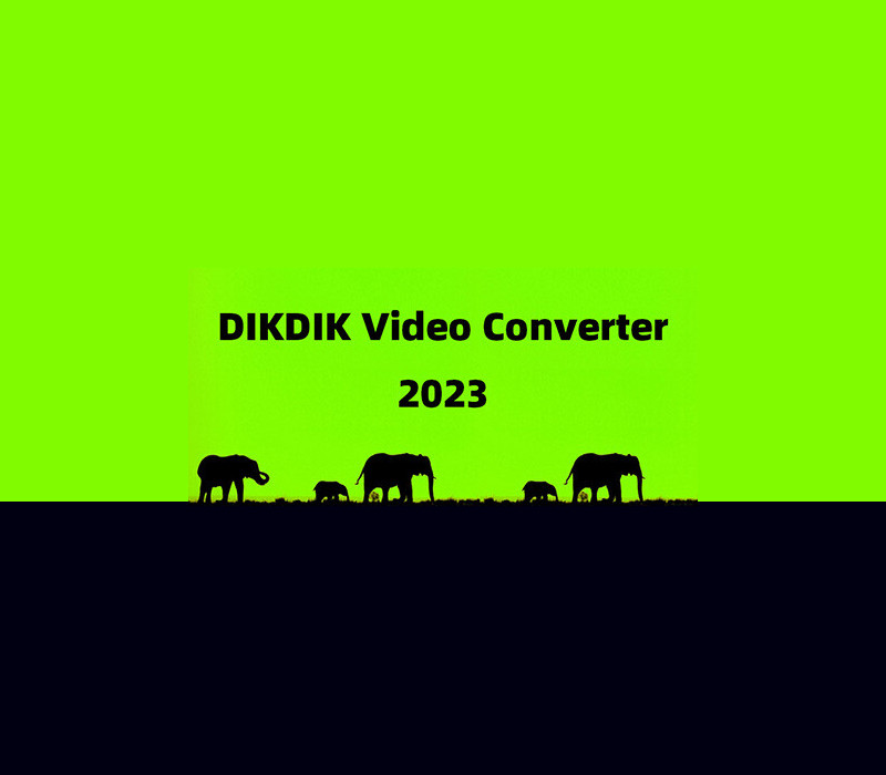 DIKDIK Video Converter Steam CD Key