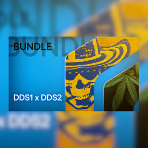 Drug Dealer Simulator 1 & 2 PC Steam Altergift