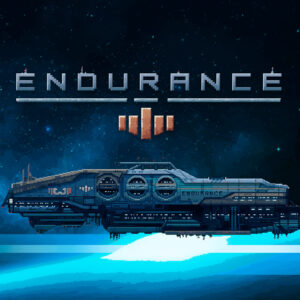 Endurance - space shooter Steam CD Key