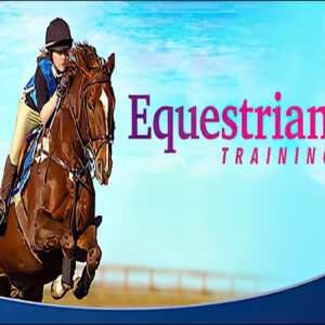 Equestrian Training Steam CD Key