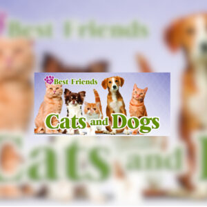 My Best Friends - Cats & Dogs Steam CD Key