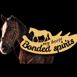 My Horse: Bonded Spirits PC Steam CD Key