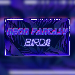 Neon Fantasy: Birds PC Steam CD Key