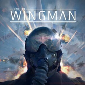 Project Wingman Steam Altergift