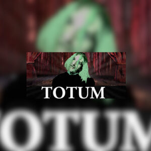 Totum Steam CD Key
