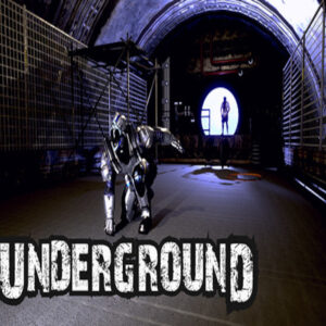 Underground Steam CD Key