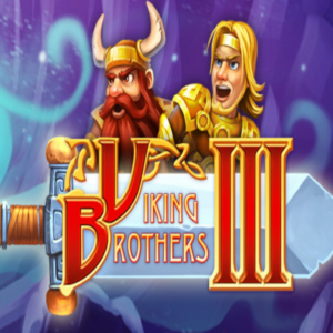 Viking Brothers 3 PC Steam CD Key