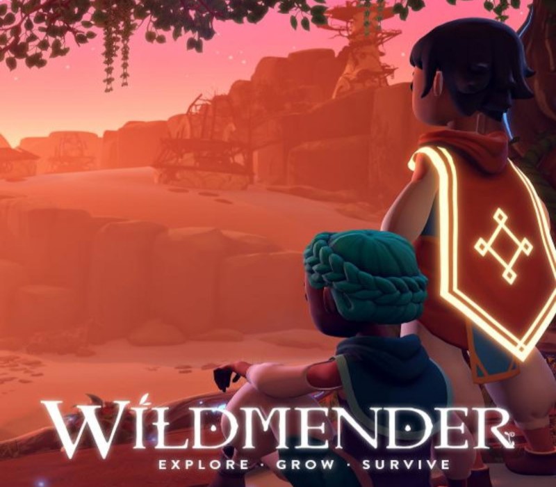 Wildmender Steam Account