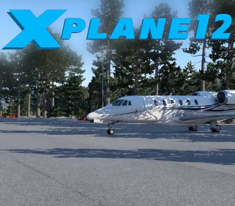 X-Plane 12 PC Steam Account