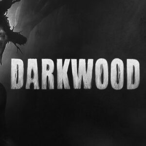 Darkwood Epic Games Account