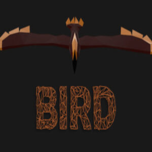 Bird Steam CD Key