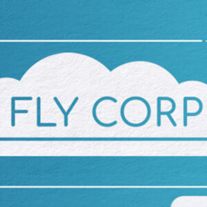 Fly Corp PC Steam CD Key