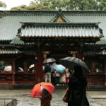 rain, tree, nature, temple, people