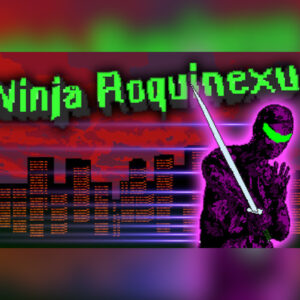 Ninja Roquinexu Steam CD Key