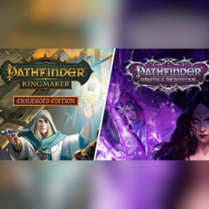 Pathfinder Collector’s Edition PC Steam CD Key