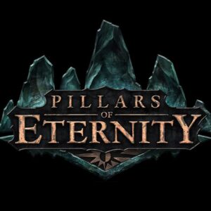 Pillars of Eternity Hero Edition Steam CD Key