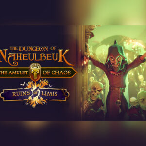 The Dungeon Of Naheulbeuk - Ruins of Limis DLC PC Steam CD Key