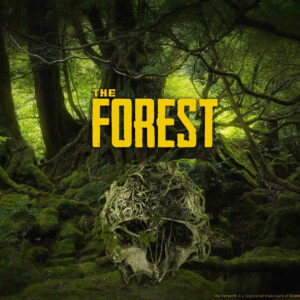 The Forest Steam Account
