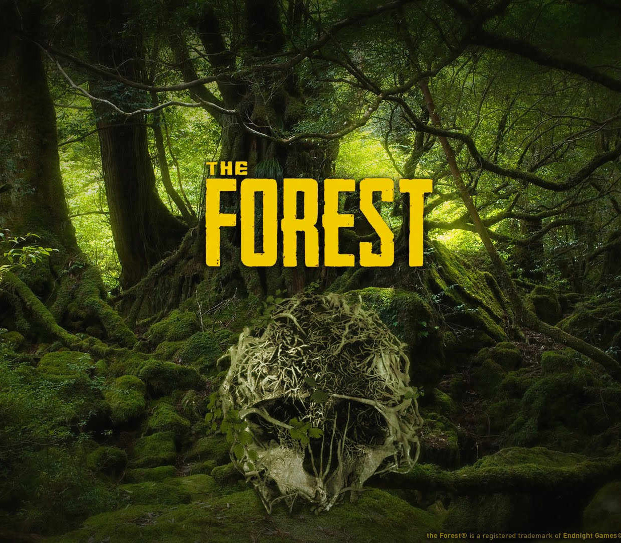 The Forest Steam Altergift