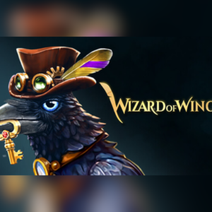 Wizard of Wings: Escape PC Steam CD Key