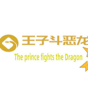 王子斗恶龙(The prince fights the Dragon) PC Steam CD Key